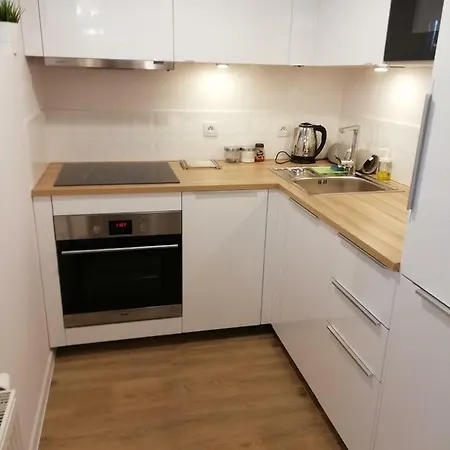 Two Towers Old Town Apartments-city Center-by The River-observation Terrance On The Roof-free Parking * Βρότσλαβ